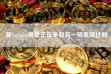 前Voyager高管正在争取另一项重组计划