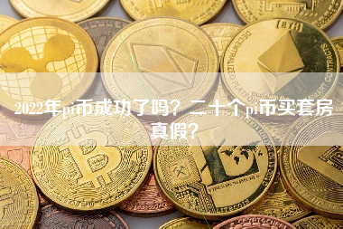 2022年pi币成功了吗？二十个pi币买套房真假？