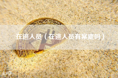 在逃人员（在逃人员有案底吗）
