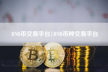 BNB币交易平台|BNB币种交易平台