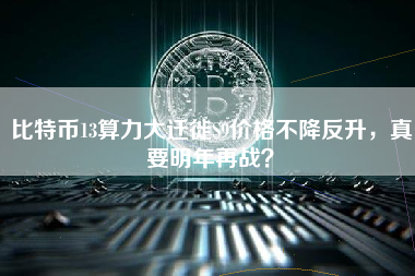 比特币13算力大迁徙S9价格不降反升，真要明年再战？