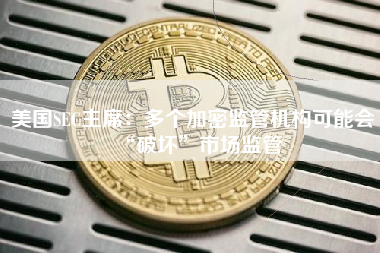 美国SEC主席：多个加密监管机构可能会“破坏”市场监管