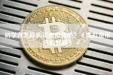 初学者怎样购买虚拟货币？《虚拟货币选购教程》